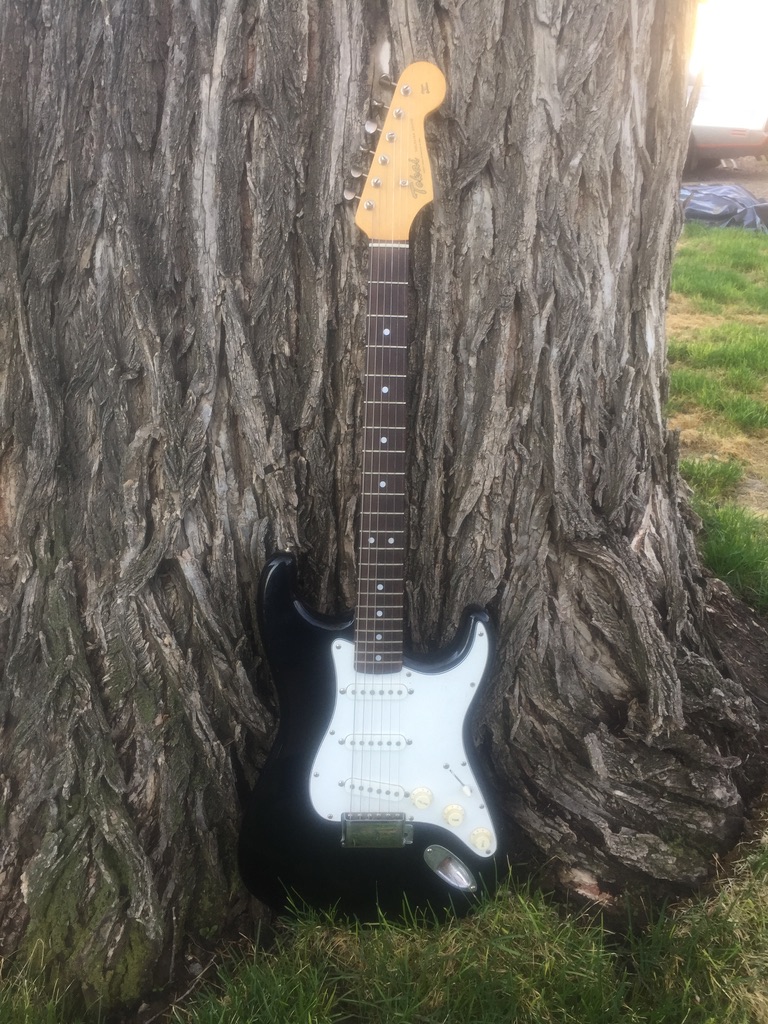 Tokai Goldstar Sound